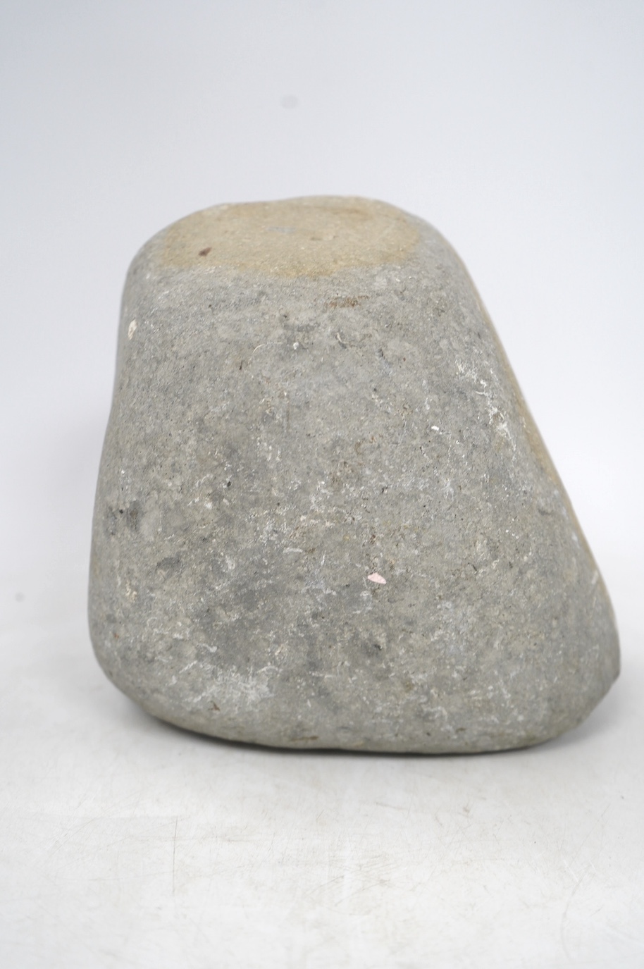 Two ammonites in a marine sedimentary rock matrix, tallest 19cm. Condition - fair